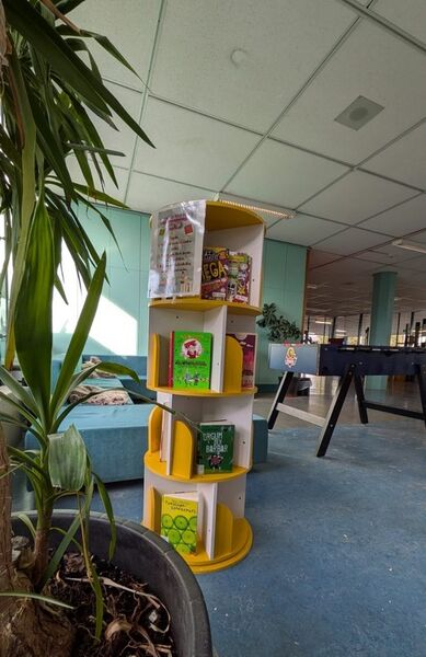 TMG Bücherschrank in der Sofaecke