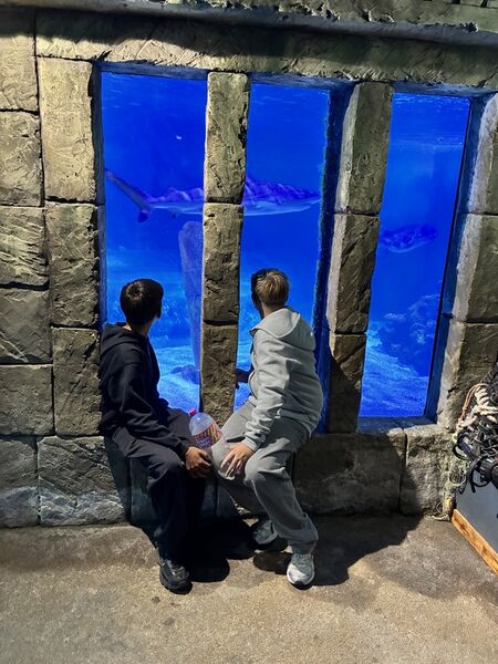Schüler vor Auquarium